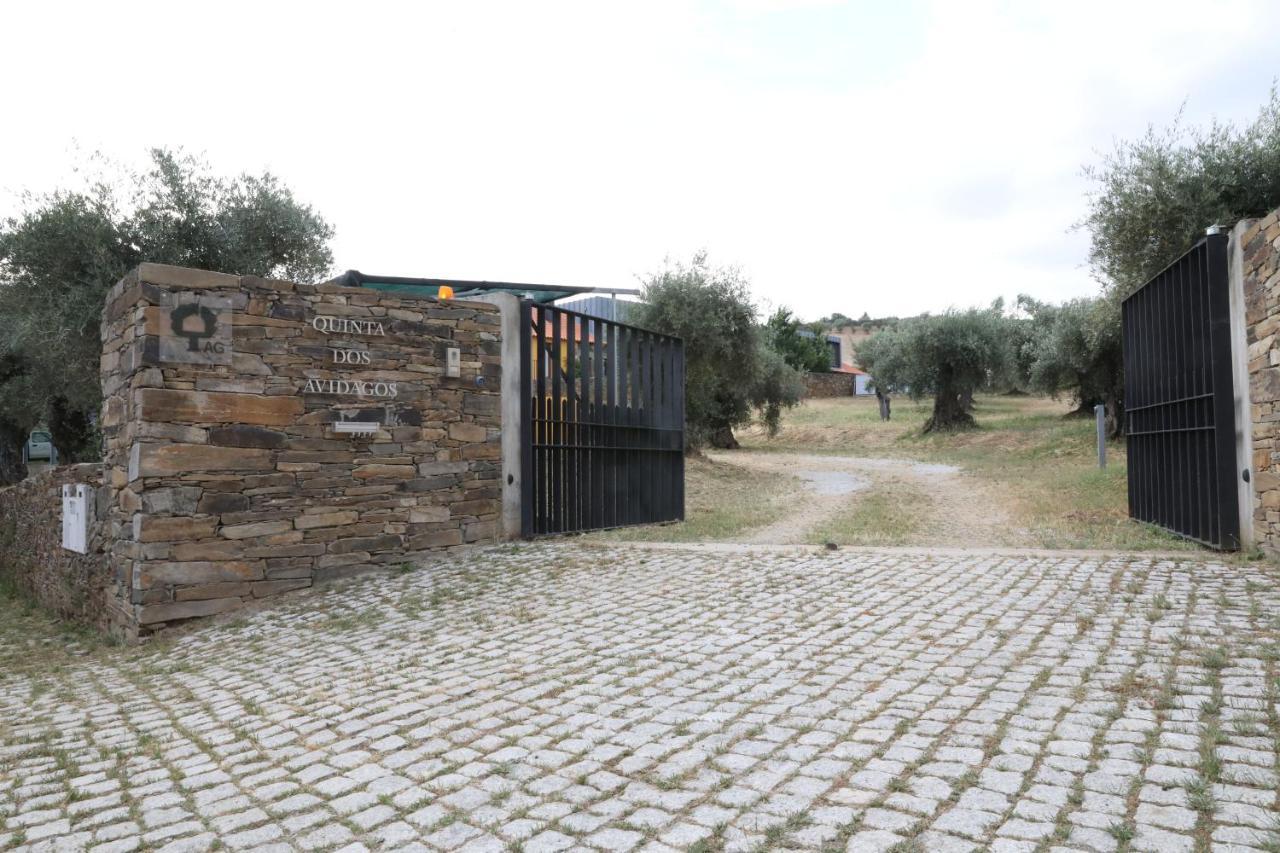 Quinta Dos Avidagos Villa