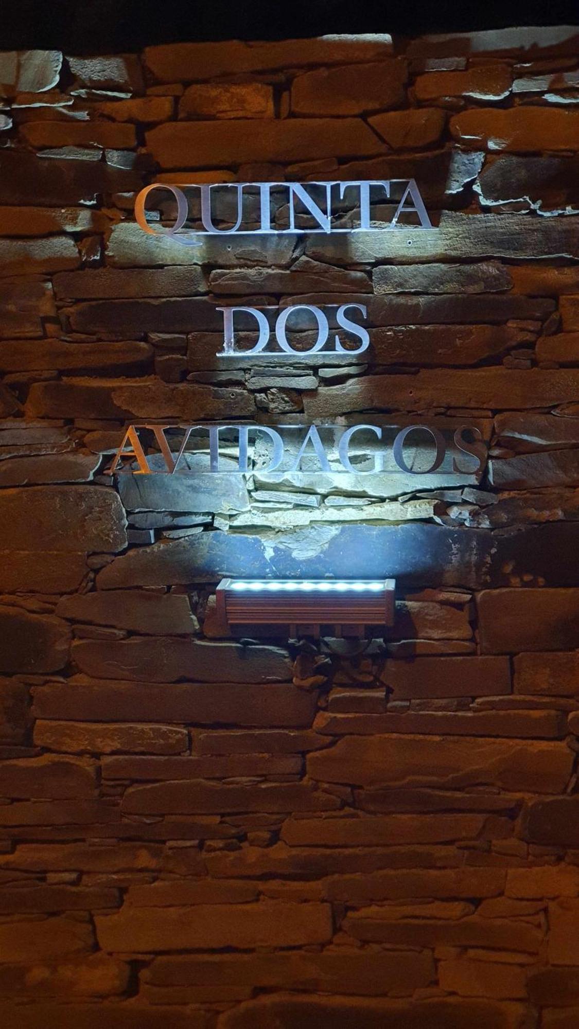 Villa Quinta Dos Avidagos